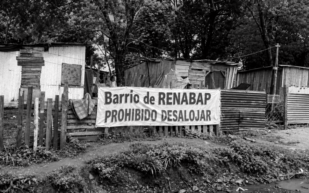 Tierra: madre, hermana y bien común